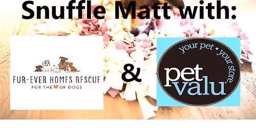 DIY Snuffle Matts for your pet