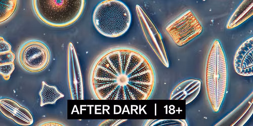 After Dark: Splashdown