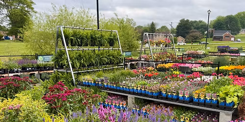 PERENNIAL FEST #2 + Tropicals & Houseplants at Second Chance Plants HARRISBURG
