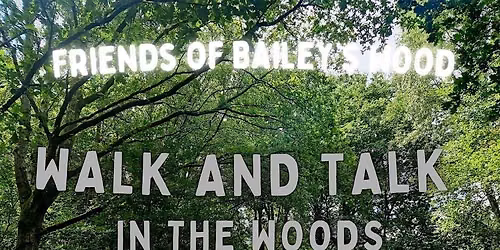 Walk and Talk in the Woods