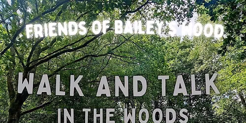 Walk and Talk in the Woods