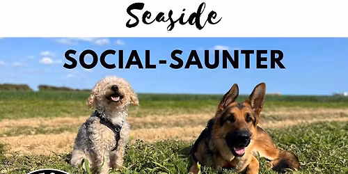 Seaside social saunter