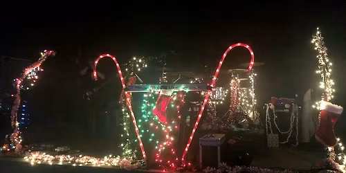 Domain Wine Bar Holiday Party in New Town with Trixie!