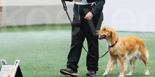 Rally-toko epikset 9.5.2026