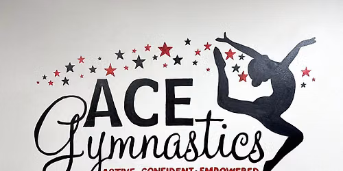 School Age Open Gym!! 