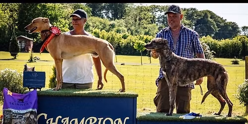 Bluestone Charity Show & Best of the West Championship