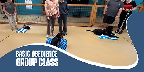 Basic Obedience Group Class