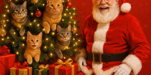 le No\u00ebl des Anges d'Ashley