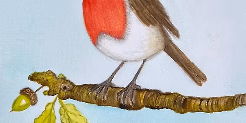 Robin - Acrylic Ink Workshop