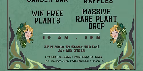 The Rare & Rooted Festival & Our 3 year Anniversary