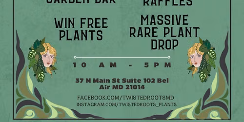 The Rare & Rooted Festival & Our 3 year Anniversary