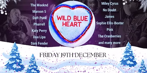 Wild Blue Heart Christmas Show