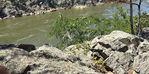 Wild Earth Gathering SATURDAY, June 20th, 3 PM, Carderock
