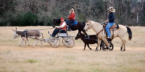 Horseman\u2019s Market Day
