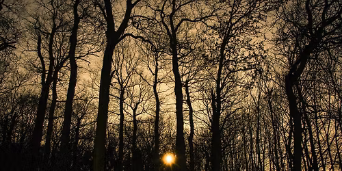 Welcome Winter, 5+ YRS (Ashland Library)