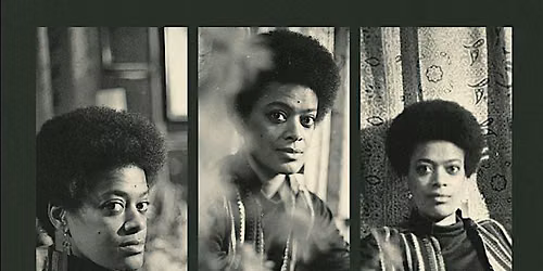 TCB: The Toni Cade Bambara School of Organizing