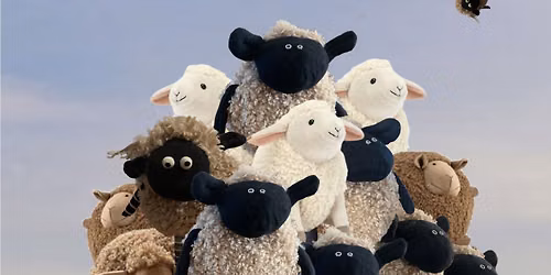 Moutons | Compagnie Pollen 