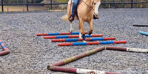 Evening Pole Clinic