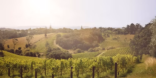 Party with Palf! Picnic, sundowners & DJ's at Mawhitipana Estate