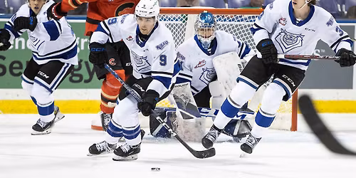 Prince George Cougars vs. Victoria Royals
