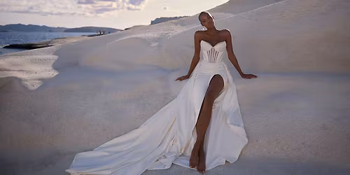 TRUNK SHOW in USA, AZ, Glendale