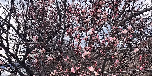 \u054e\u0561\u0576\u056b \u0531\u0572\u0569\u0561\u0574\u0561\u0580\u0568 \u056e\u0561\u0572\u056f\u0561\u056e \u0576\u0577\u0565\u0576\u056b\u0576\u0565\u0580\u0578\u057e