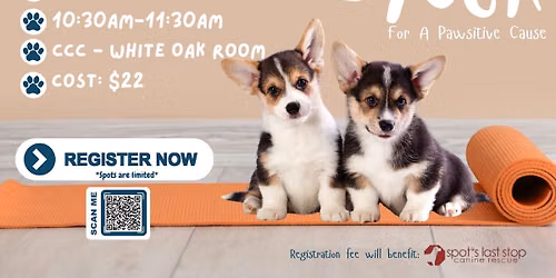 Puppy Yoga - August 15
