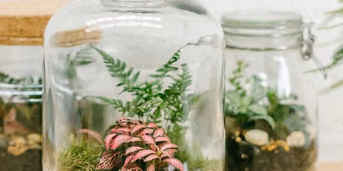 Bottle Terrarium Workshop