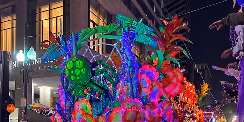 Beads & Beignets, The Mardi Party 2026