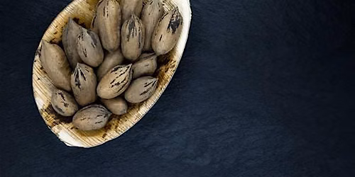 Pecan Farming History of the Northeast
