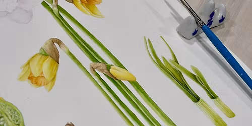 The Art of Botanical Watercolor