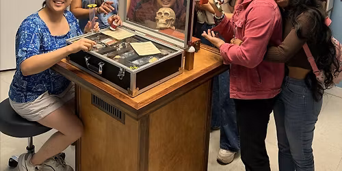 Escape Room Social in San Pedro, Los Angeles- Mad Scientist