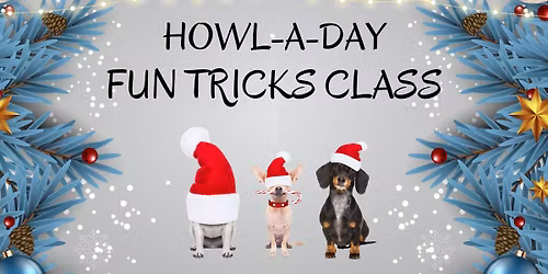 Howl-a-Day Fun Tricks Class