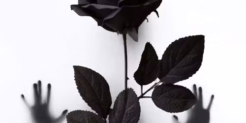 Broken Arrow Thorns & Roses Ghost Walk