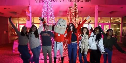 Winter WonderLights Season Premiere