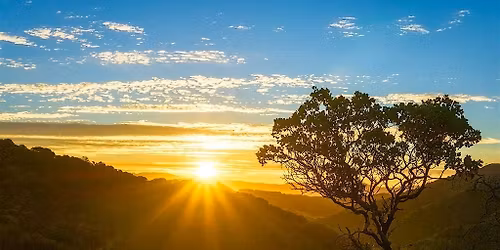 Walking on Wednesdays-a Wellness Experience for the Grieving