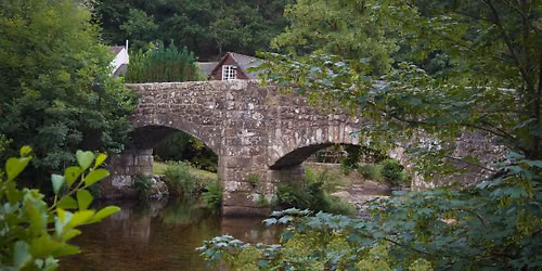 Fingle Bridge - Summer Evening Colours