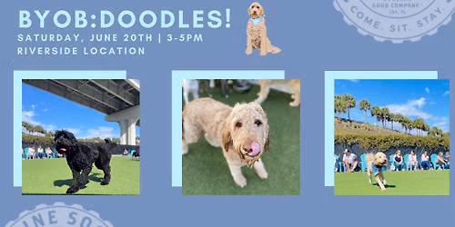 Bring your own breed: Doodles!