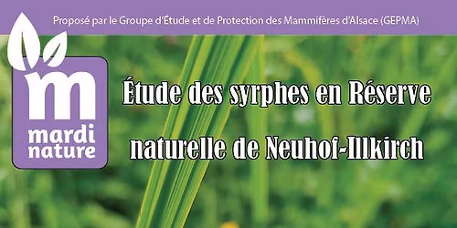 Conf\u00e9rence Mardi Nature: \u00c9tude des syrphes en R\u00e9serve naturelle de Neuhof Illkirch