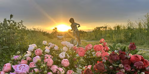 Queen of Flowers: Arranging with Peonies