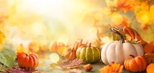 Autumnfest Craft & Vendor Show