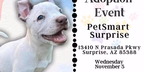 PetSmart Surprise Adoption Event