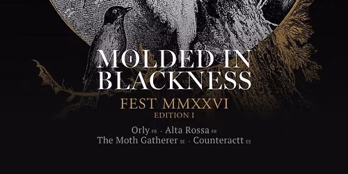 Molded In Blackness Fest