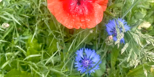 Rouwcirkel @ Iyo Yape yurt Schulen