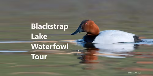 Blackstrap Lake Waterfowl Tour