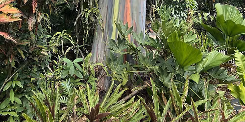Botanize with Brett!- Sunken Gardens Walking Tour