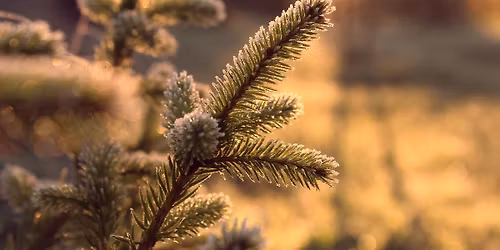 Adventsconcert Oude Muziek Ma'GO, Ekeren en Wilrijk