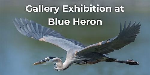 Gallery Night on the Preserve
