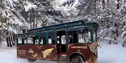 Christmas Lights Tour