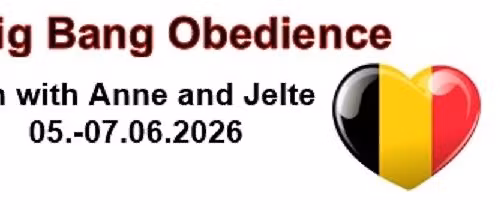 The Big Bang Obedience